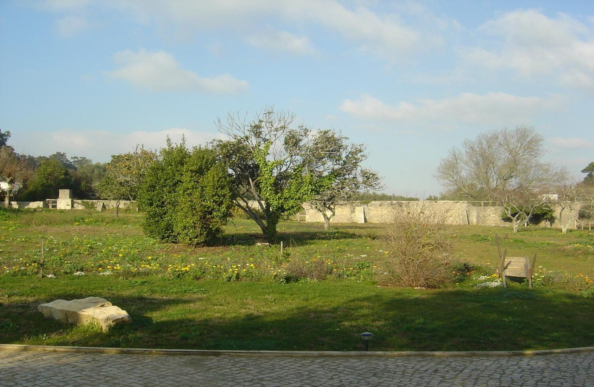 Bed and Breakfast Quinta Do Scoto Rinchoa Zewnętrze zdjęcie