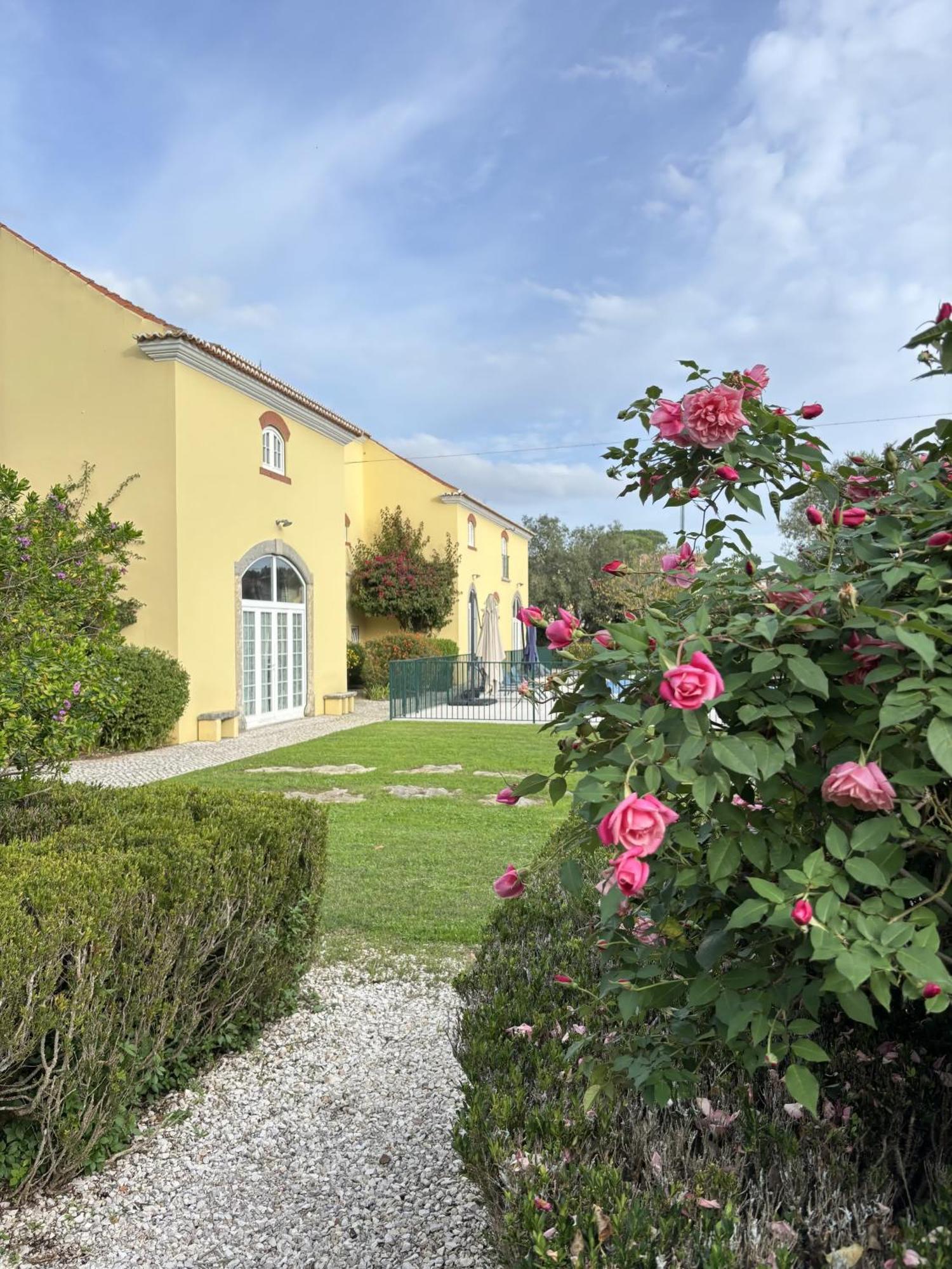 Bed and Breakfast Quinta Do Scoto Rinchoa Zewnętrze zdjęcie