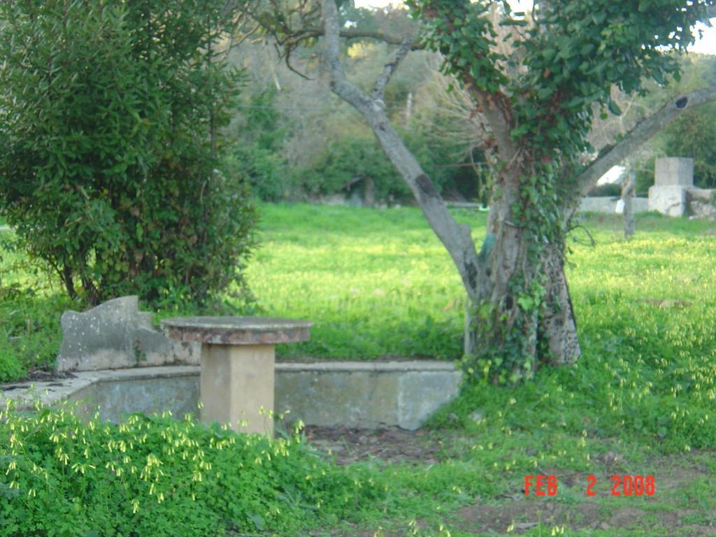 Bed and Breakfast Quinta Do Scoto Rinchoa Zewnętrze zdjęcie